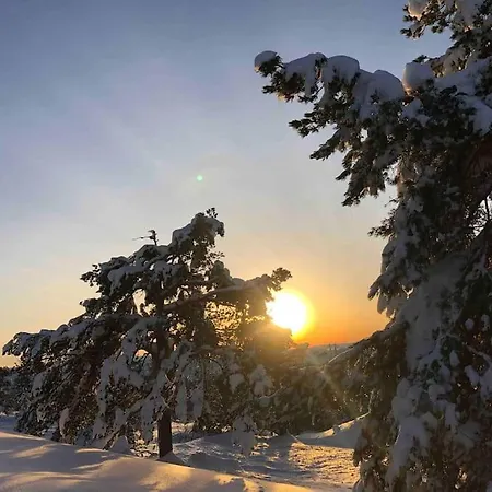 Solehogda 71. Unik Tommerhytte Som Er Handlaget * Noresund