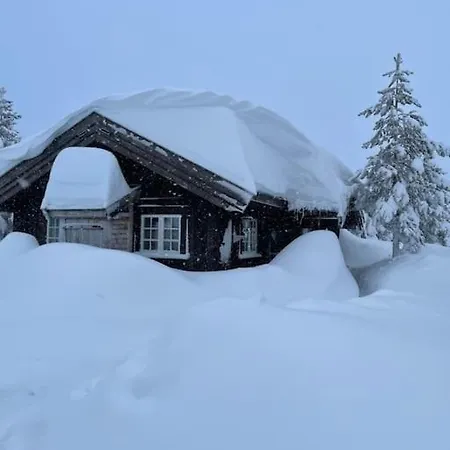 Solehogda 71. Unik Tommerhytte Som Er Handlaget Σαλέ