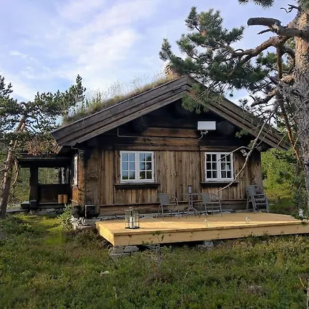 Solehogda 71. Unik Tommerhytte Som Er Handlaget *