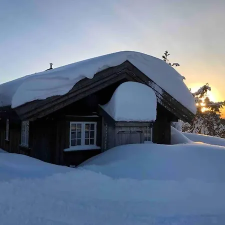 Solehogda 71. Unik Tommerhytte Som Er Handlaget シャレー